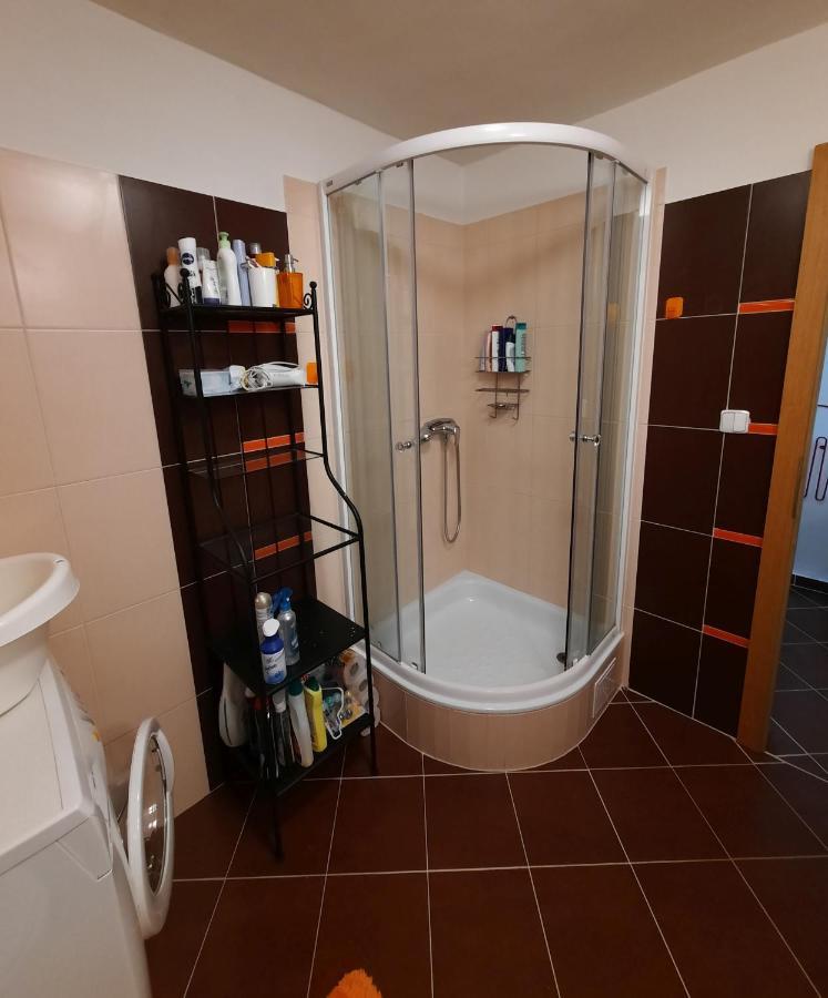Apartman Lesna Nová Lesná エクステリア 写真